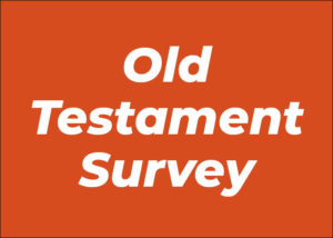 Old Testament Survey HI-216 (6 CUs)