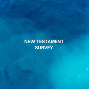 New Testament Survey