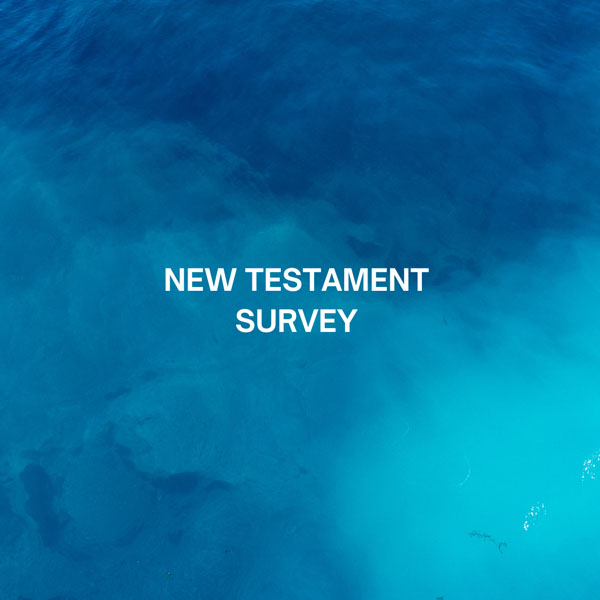 New Testament Survey