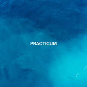 Practicum