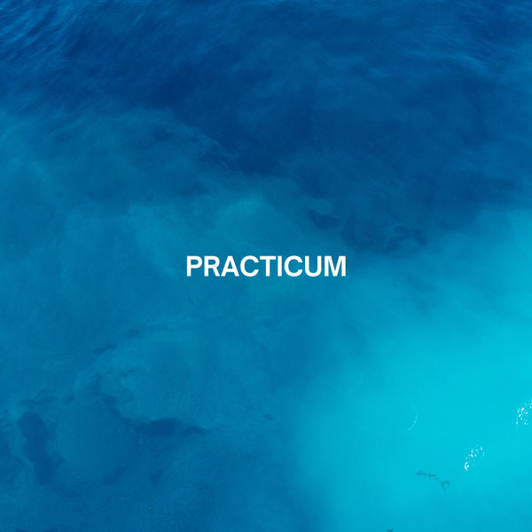 Practicum